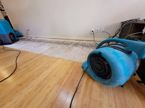 Professional Water Removal technician working in Saint Albans, WV